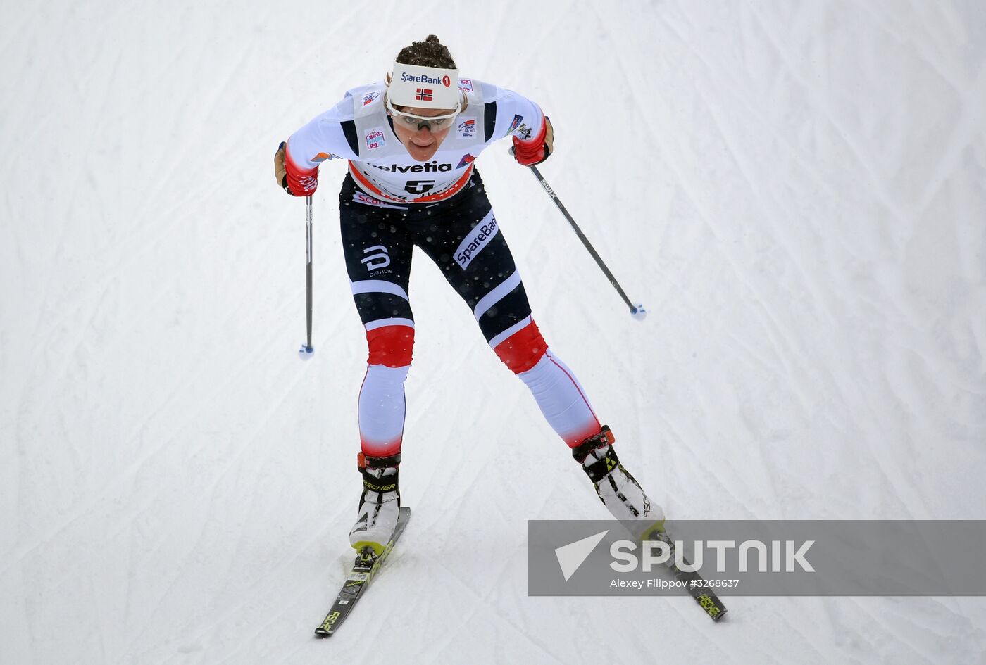 Skiing. Tour de Ski. Women's sprint