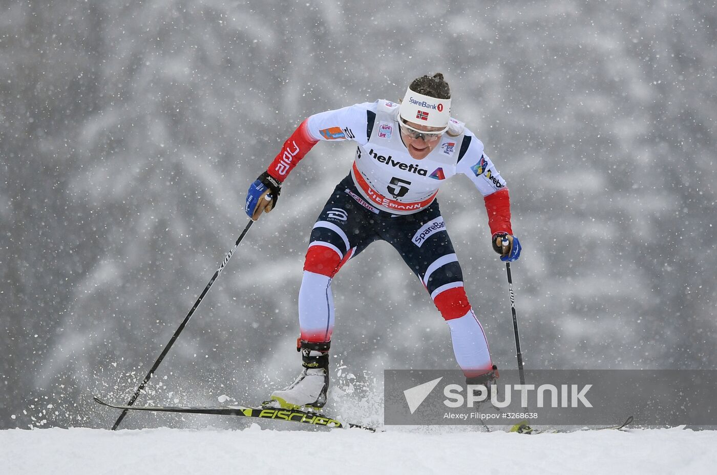 Skiing. Tour de Ski. Women's sprint