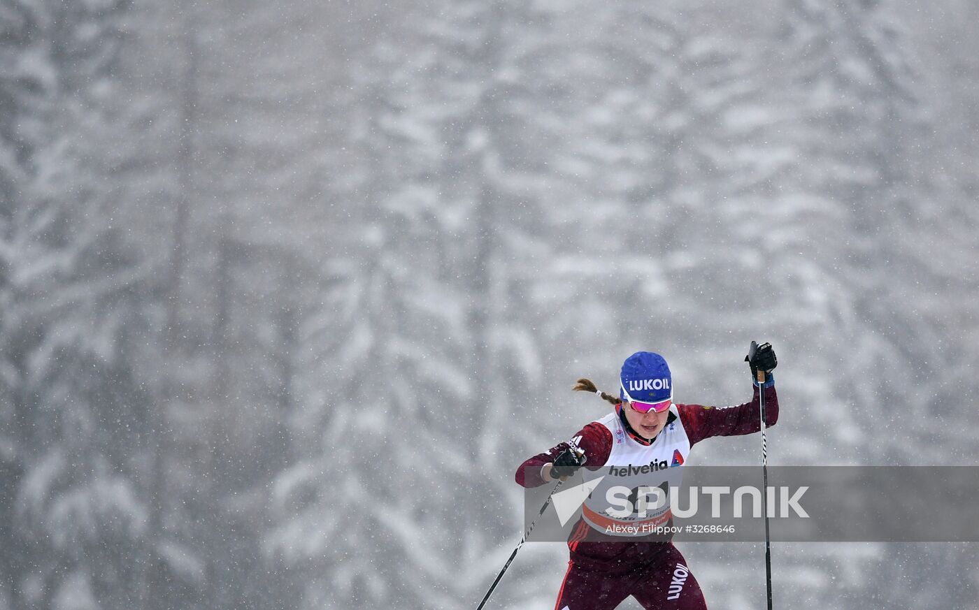 Skiing. Tour de Ski. Women's sprint