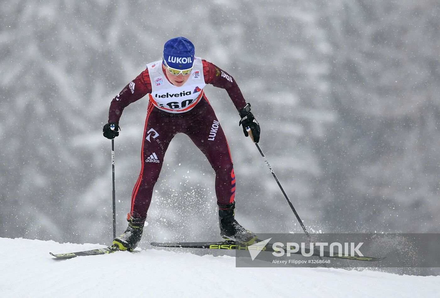 Skiing. Tour de Ski. Women's sprint