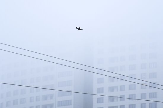 Abnormally warm weather in Moscow