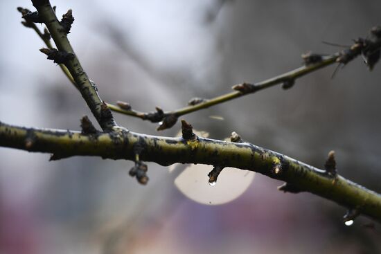 Abnormally warm weather in Moscow