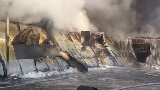 Eight people die in fire at storage in Novosibirsk Region