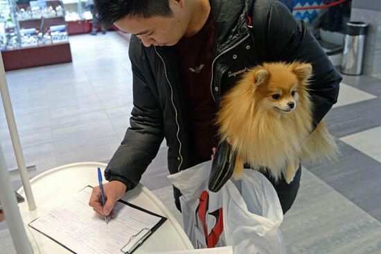 Collection of signatures supporting Vladimir Putin’s presidential bid is underway