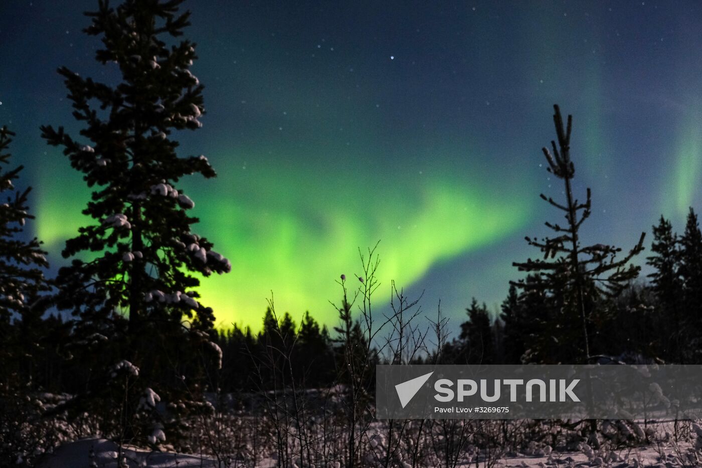 Northern Lights in Murmansk Region
