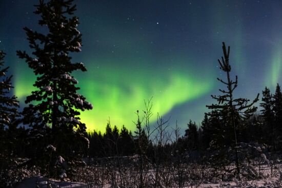 Northern Lights in Murmansk Region