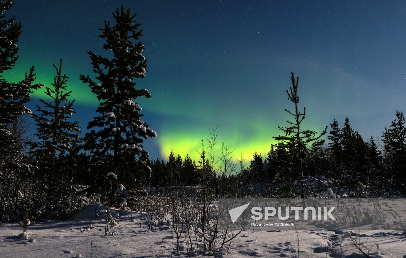 Northern Lights in Murmansk Region