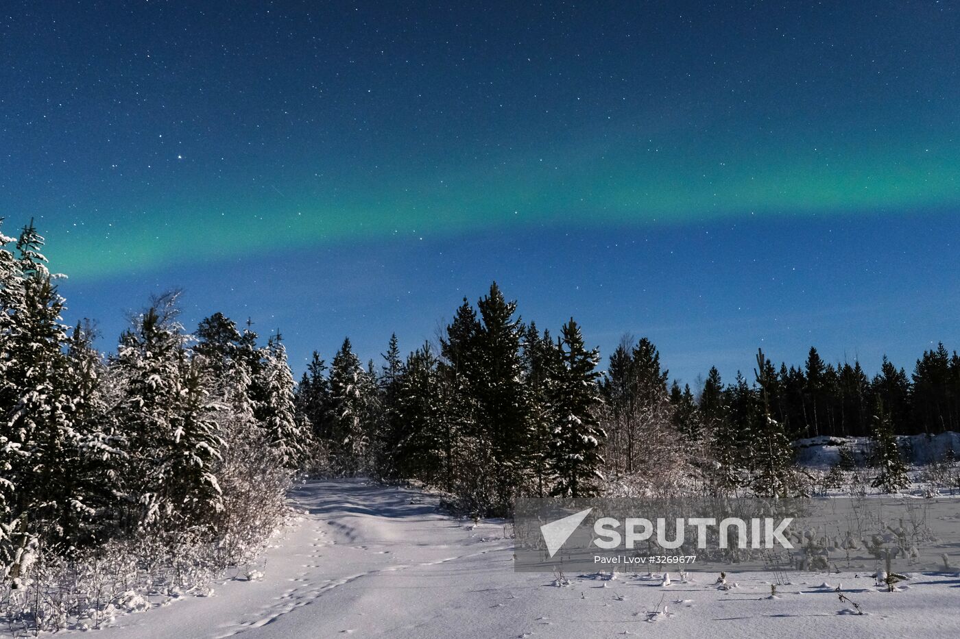 Northern Lights in Murmansk Region