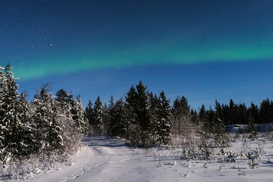 Northern Lights in Murmansk Region