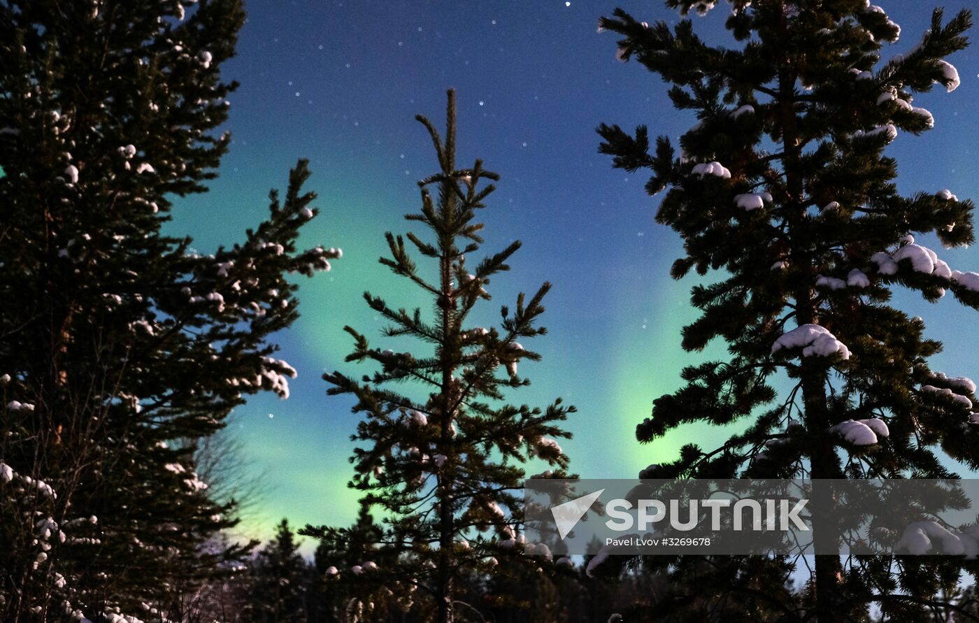 Northern Lights in Murmansk Region