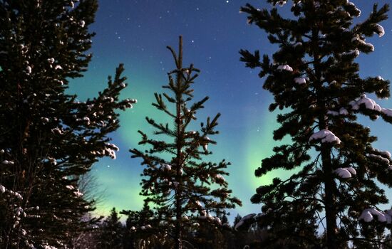 Northern Lights in Murmansk Region