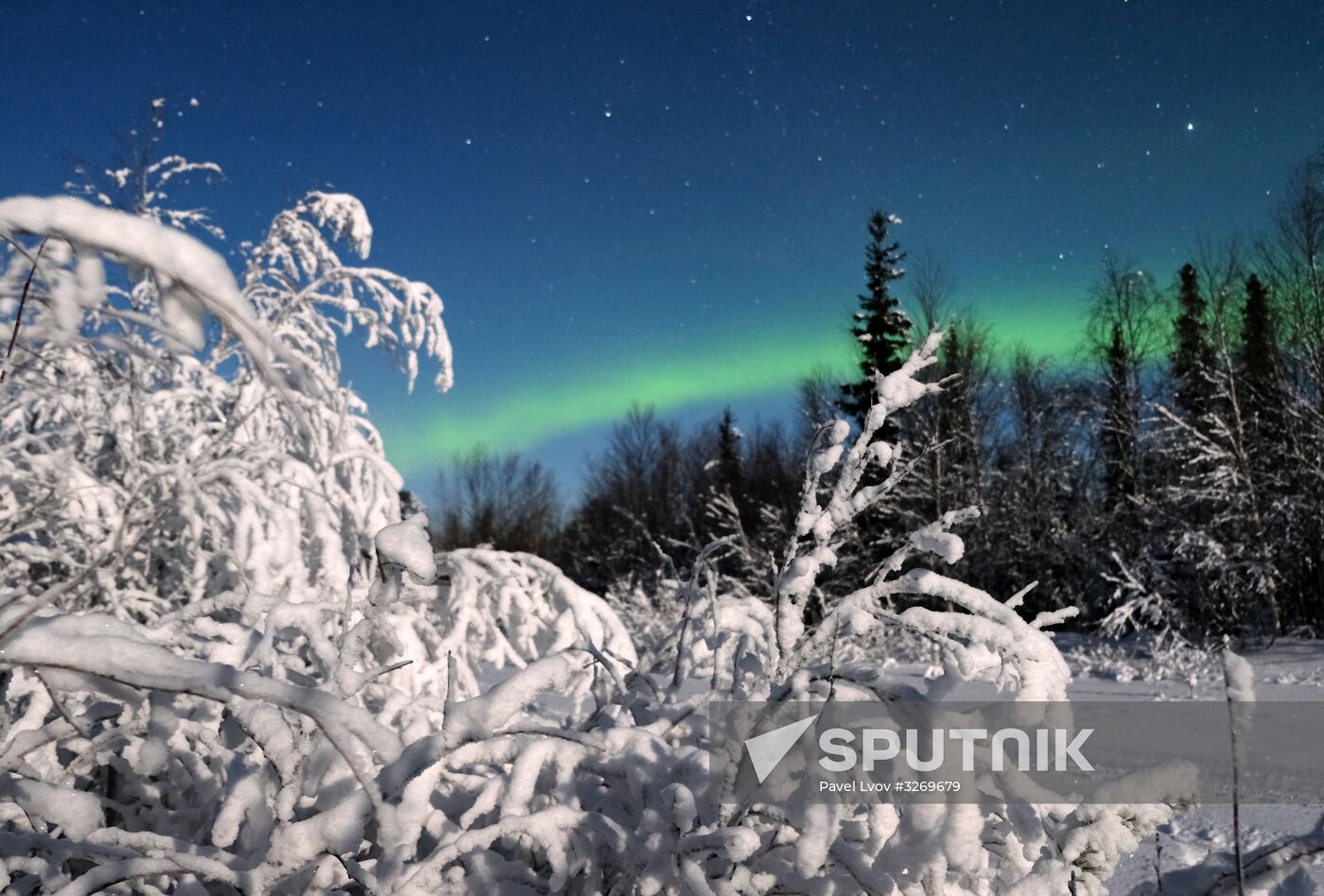 Northern Lights in Murmansk Region