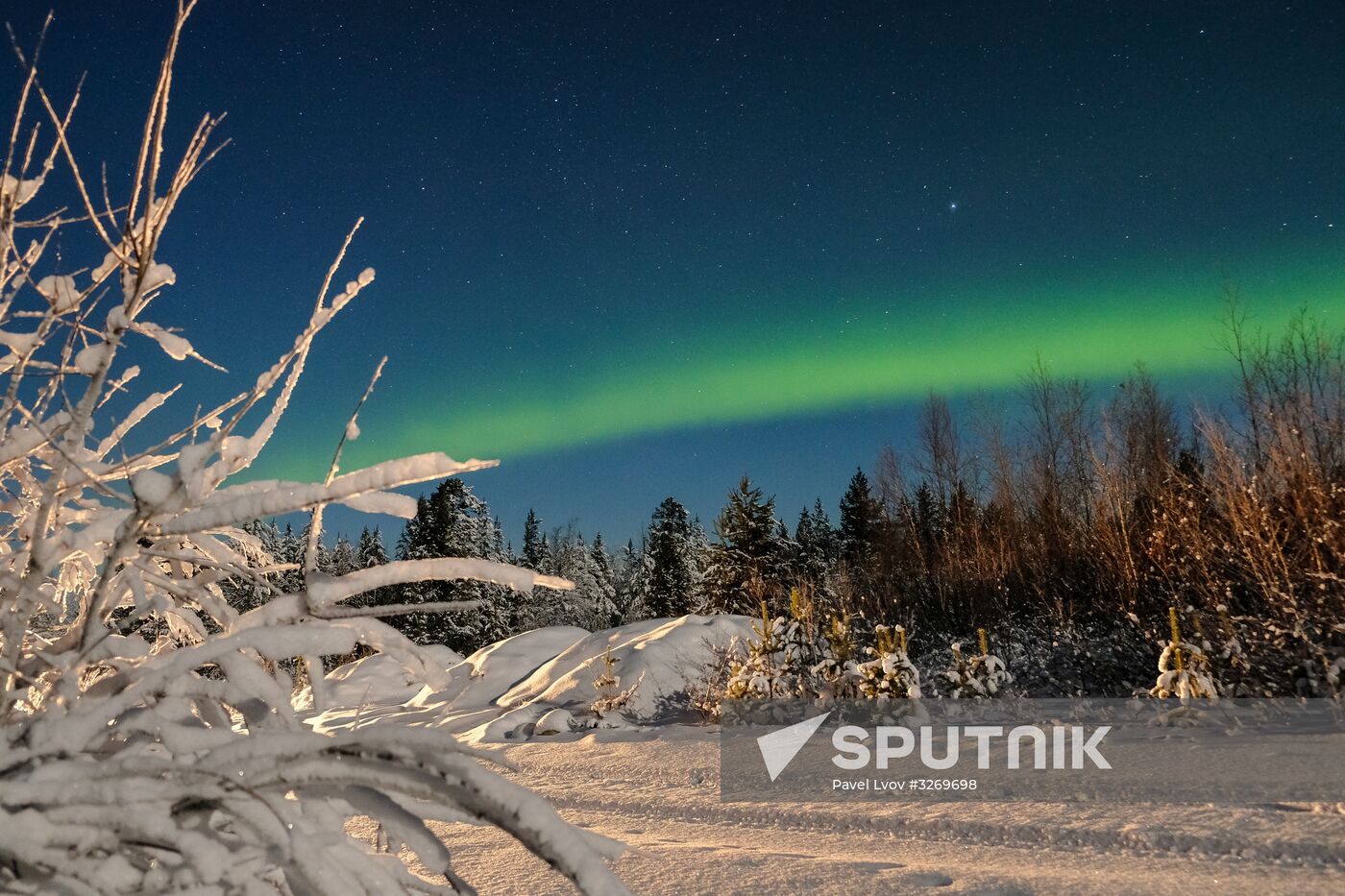Northern Lights in Murmansk Region