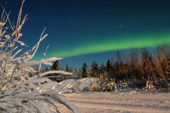 Northern Lights in Murmansk Region