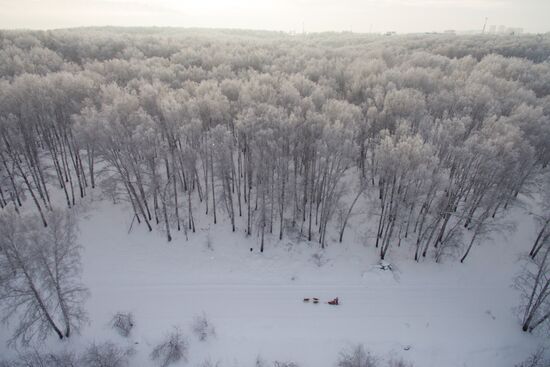 Dog sled race in Novosibirsk
