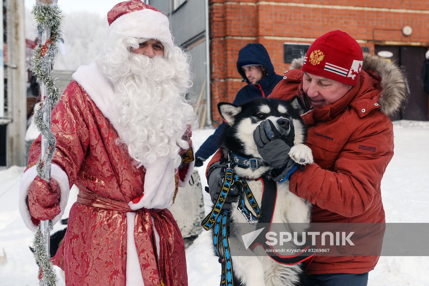 Dog sled race in Novosibirsk