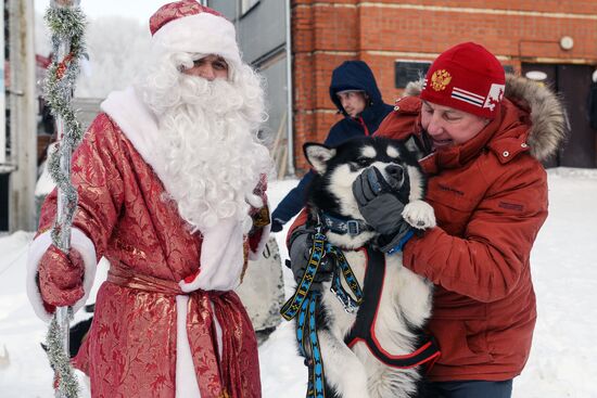 Dog sled race in Novosibirsk