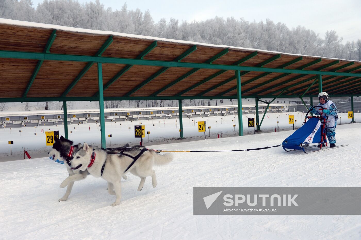Dog sled race in Novosibirsk