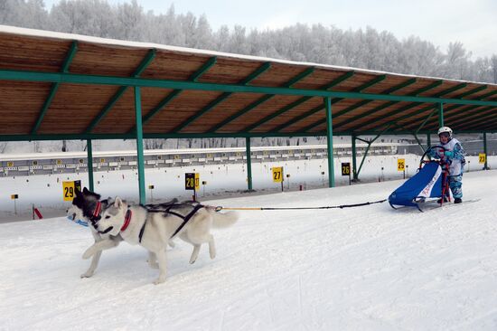 Dog sled race in Novosibirsk