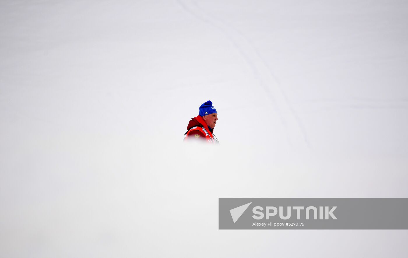 Cross country skiing. World Cup Tour de Ski. Men's mass start