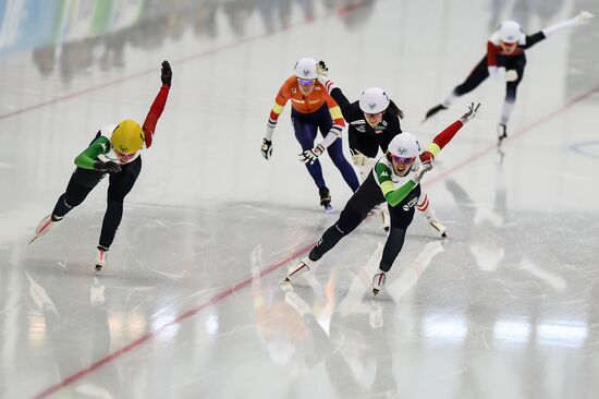 European Speed Skating Championships. Day three