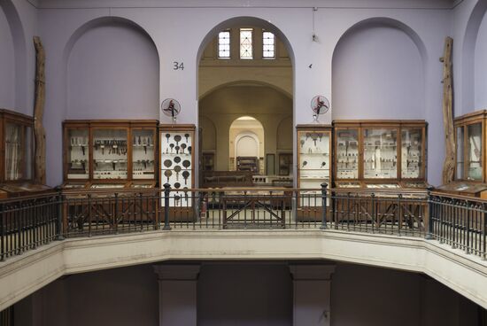 Museums of Cairo