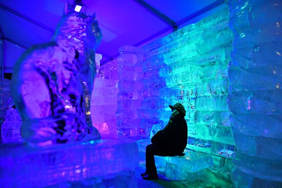 Ice Moscow Festival