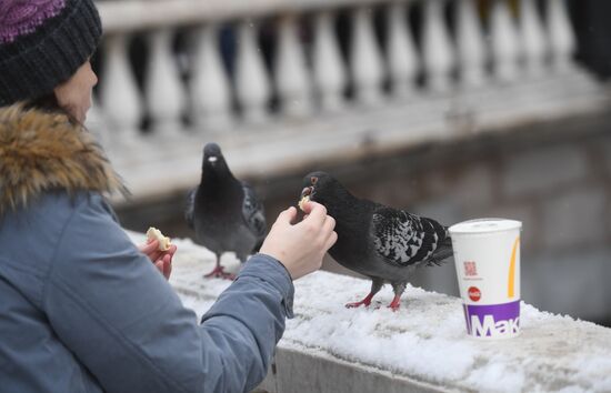 Snow in Moscow