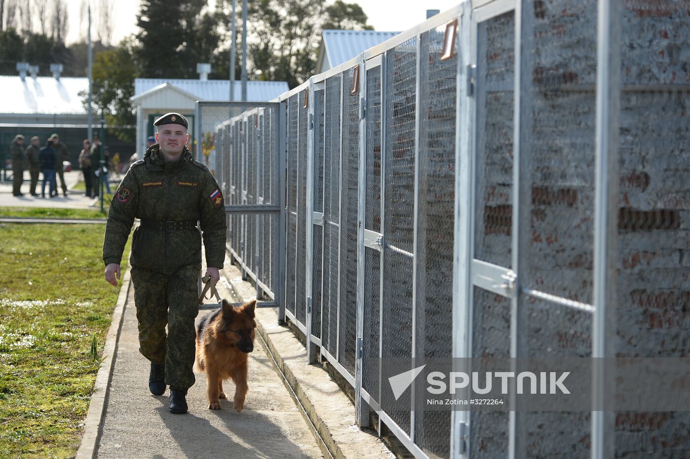 Guard dog training in Abkhazia