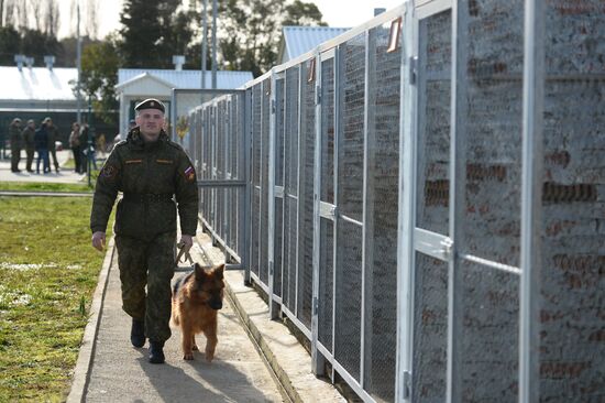 Guard dog training in Abkhazia