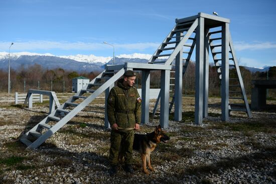 Guard dog training in Abkhazia