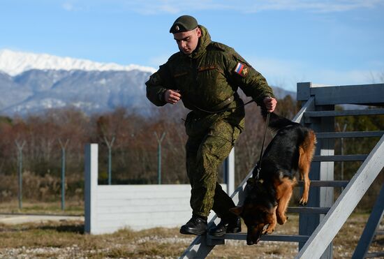 Guard dog training in Abkhazia