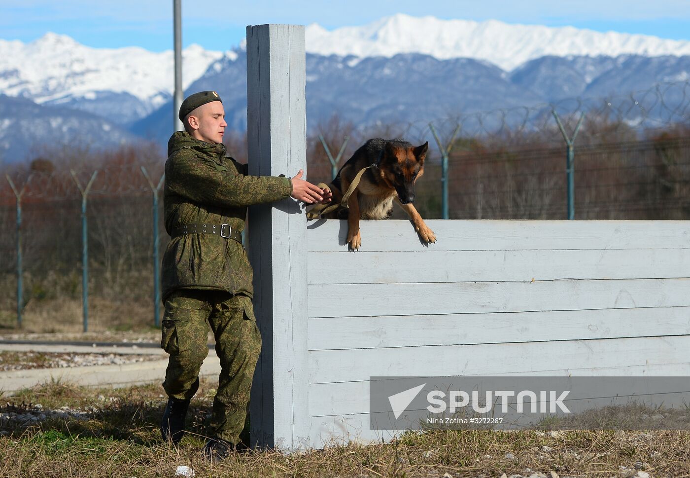 Guard dog training in Abkhazia