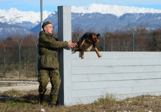 Guard dog training in Abkhazia