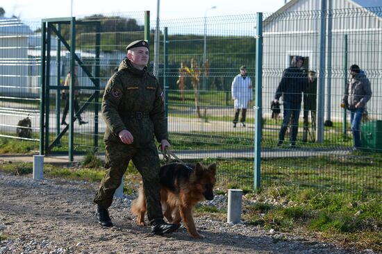 Guard dog training in Abkhazia