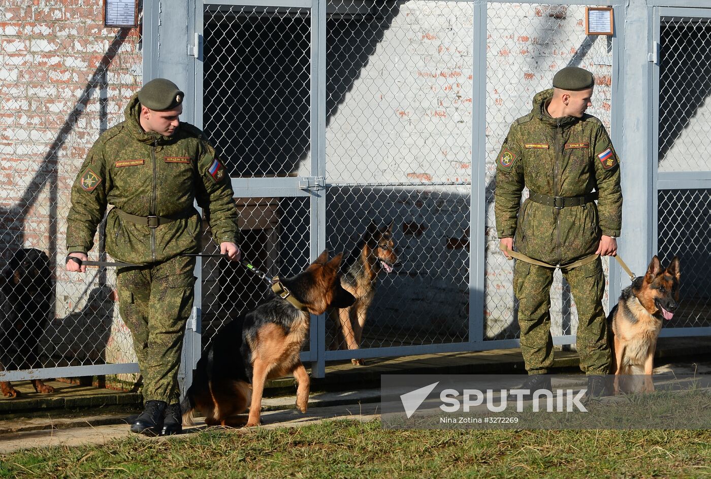 Guard dog training in Abkhazia