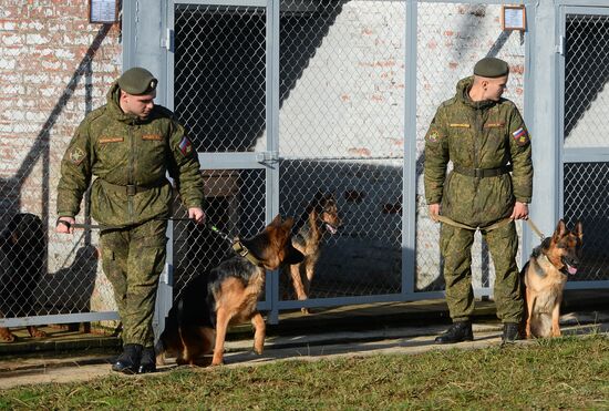 Guard dog training in Abkhazia