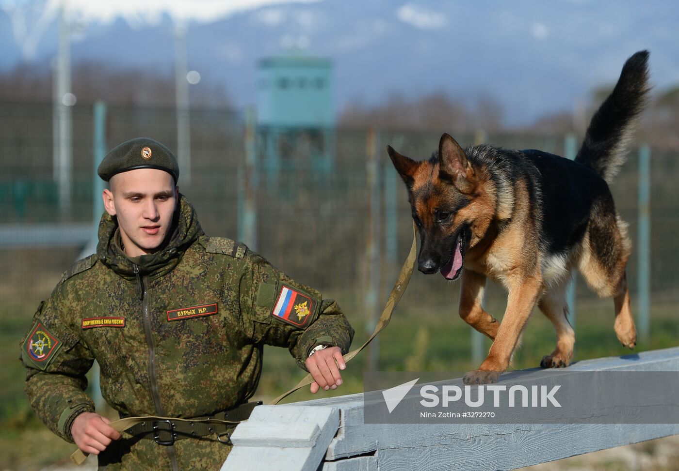 Guard dog training in Abkhazia