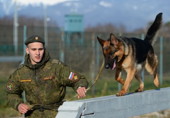 Guard dog training in Abkhazia