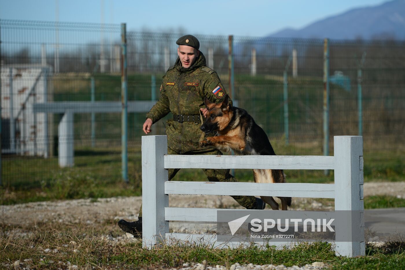 Guard dog training in Abkhazia