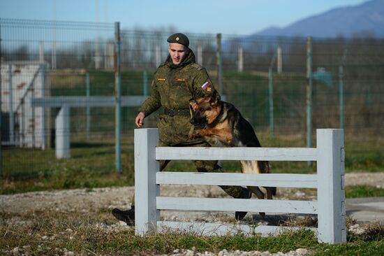 Guard dog training in Abkhazia