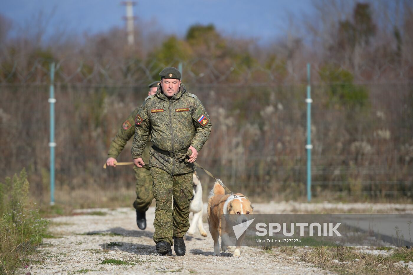 Guard dog training in Abkhazia