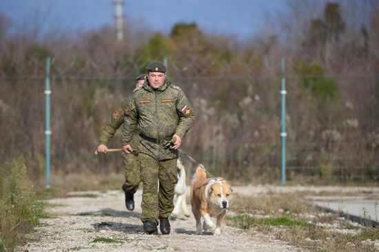 Guard dog training in Abkhazia