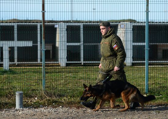 Guard dog training in Abkhazia