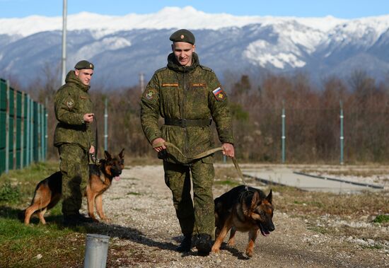 Guard dog training in Abkhazia