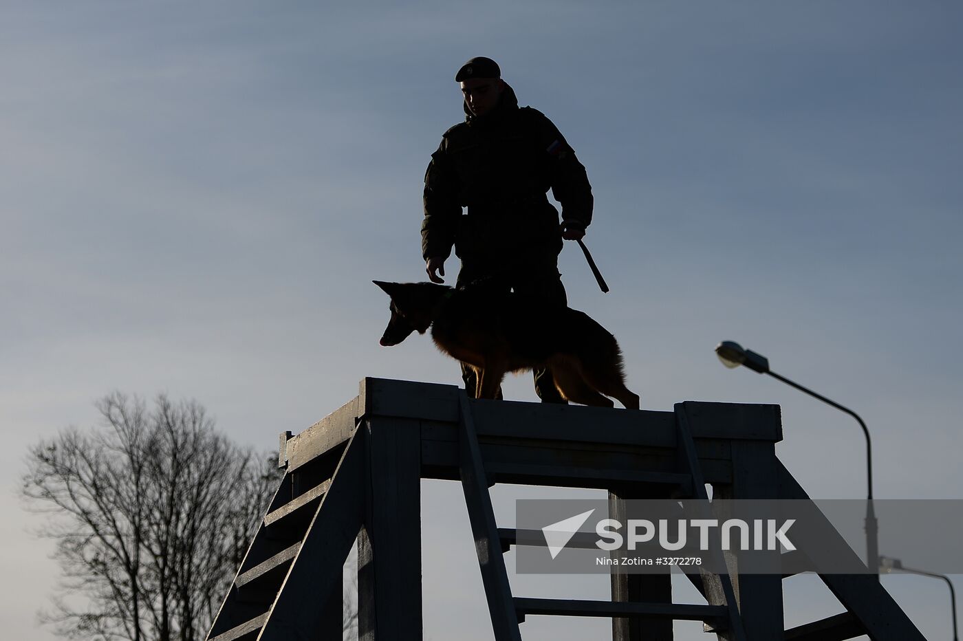 Guard dog training in Abkhazia