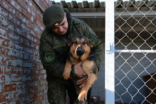 Guard dog training in Abkhazia