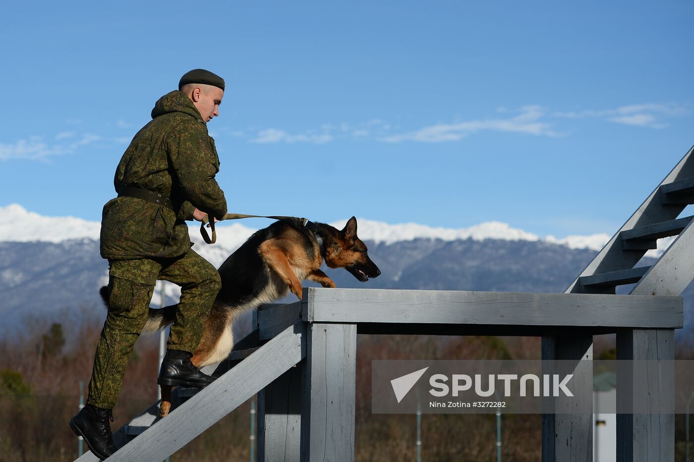 Guard dog training in Abkhazia