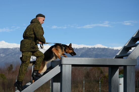 Guard dog training in Abkhazia