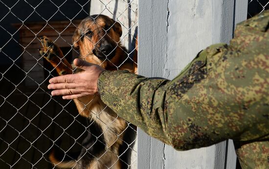 Guard dog training in Abkhazia